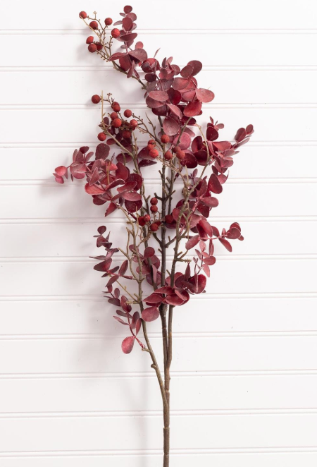 Red Eucalyptus Leaf Branch