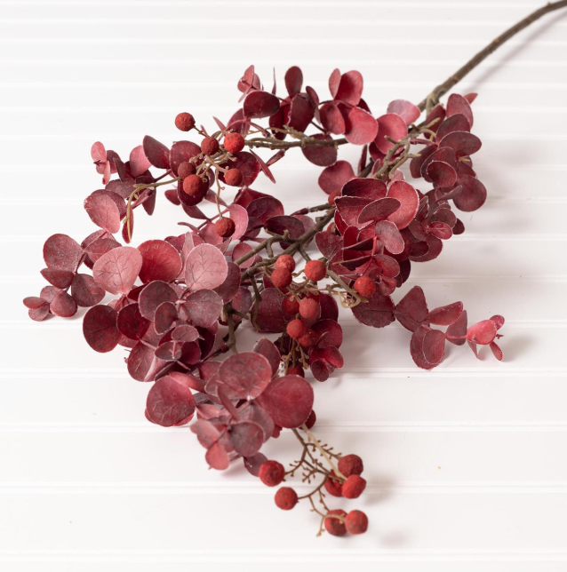 Red Eucalyptus Leaf Branch