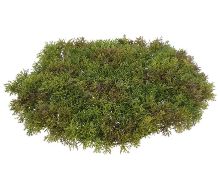 Green Moss Placemat