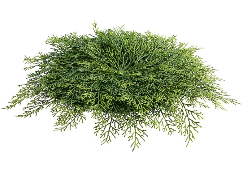Cedar Placemat