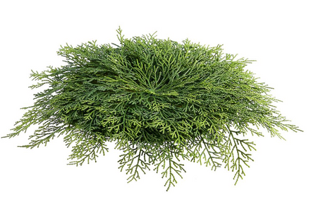 Cedar Placemat