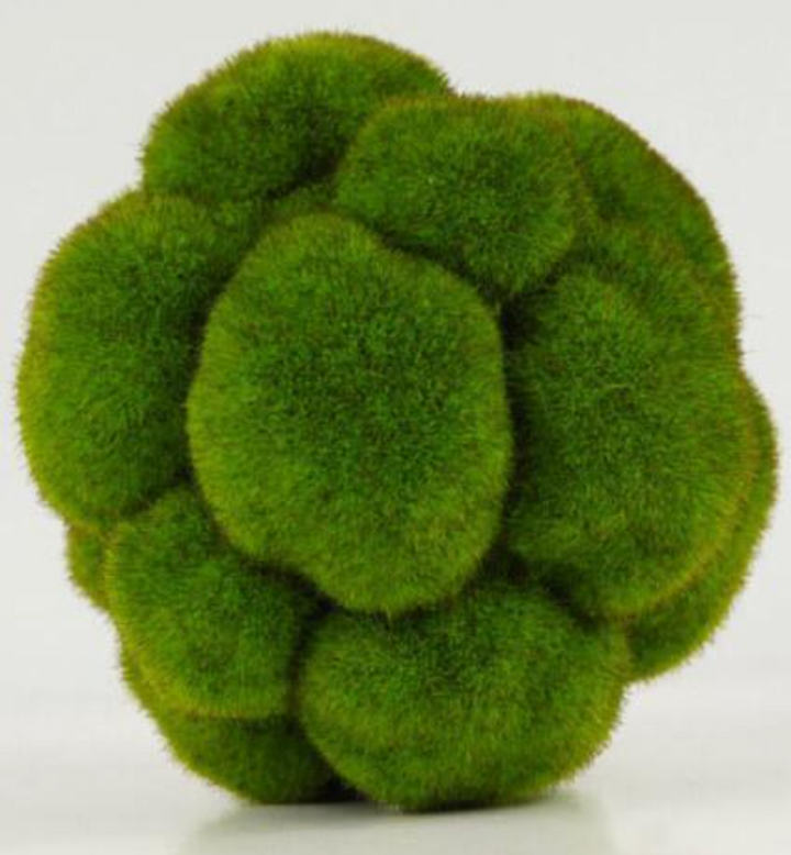 Green Moss Orb