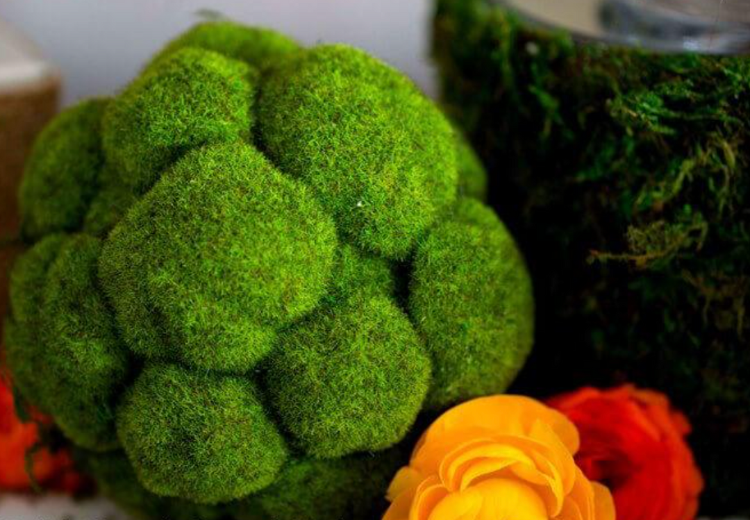 Green Moss Orb