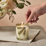 Frasier Fir Small Pine Needle Luminary