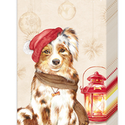 Cream Pocket Tissue