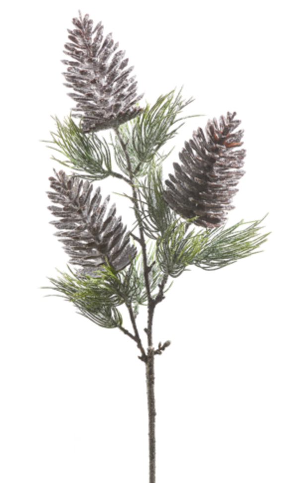 Frosted Pinecone Stem 31