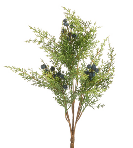 Juniper with Berries Bundle 17"