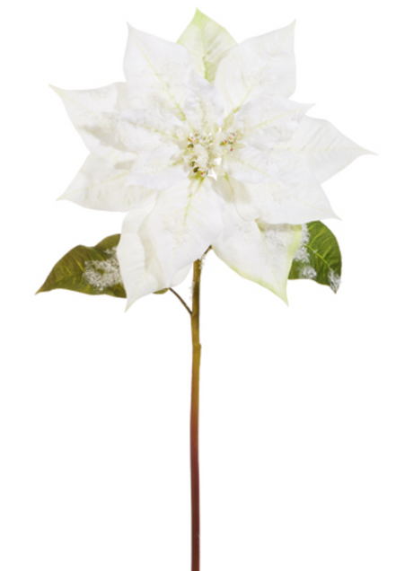 White Iced Poinsettia Stem 26.5"