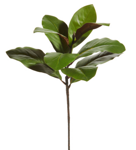 Magnolia Leaf Stem 25"