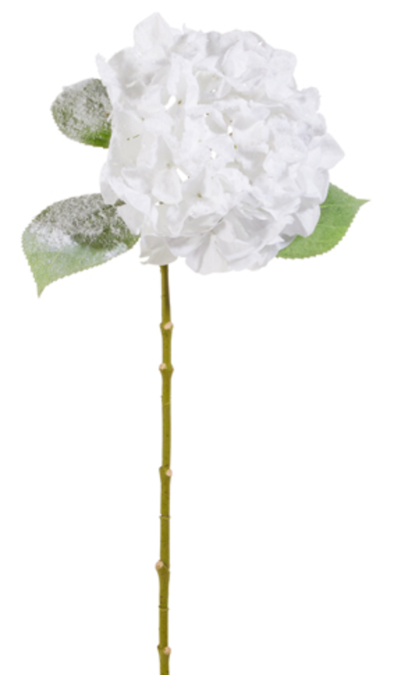 Iced Hydrangea Stem 28"