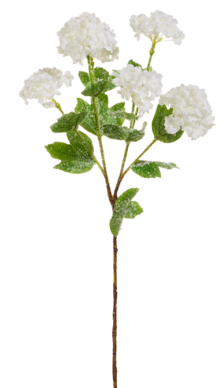 White Snowball Iced Hydrangea 24"