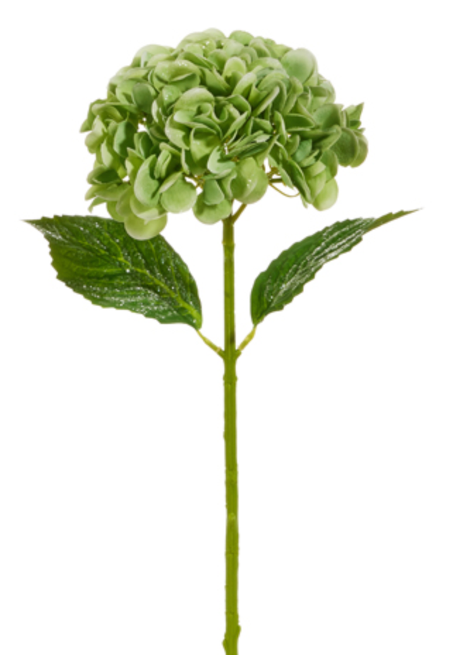 Green Iced Hydrangea Stem 19"
