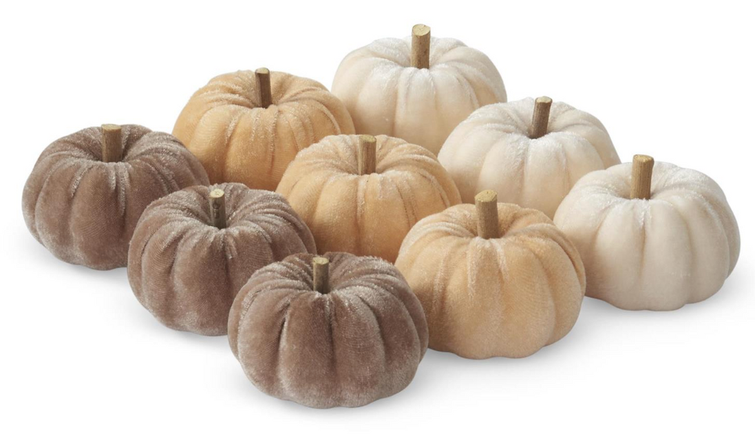 Natural Velvet Mini Pumpkin