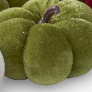 Velvet Mini Pumpkins