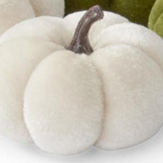 Velvet Mini Pumpkins