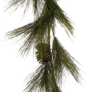 Long Needle Pine Garland 5'