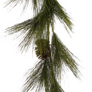 Long Needle Pine Garland 5'