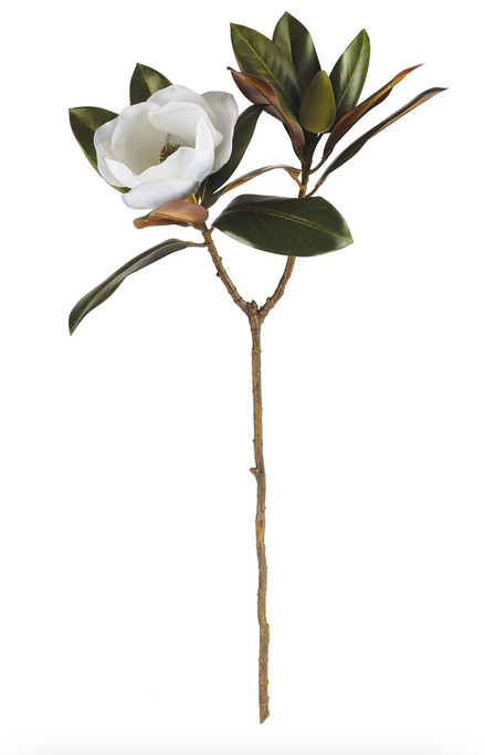 Magnolia Stem 31"