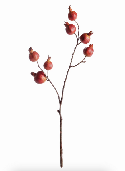 Pomegranate Branch 21.5"
