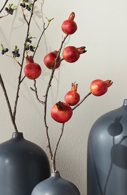 Pomegranate Branch 21.5"
