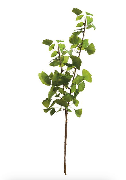 Ginkgo Branch Bundle 40"
