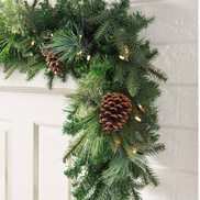 LED Mixed Evergreen Pine Garland