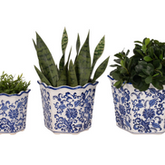 Chinoiserie Decorative Dahlia Planters