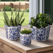 Chinoiserie Decorative Dahlia Planters