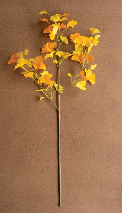 Golden Ginkgo Stem 38"