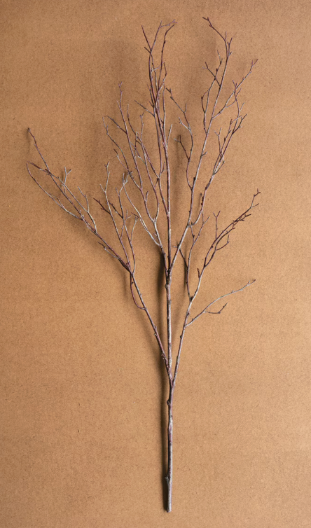 Birch Branch Stem 38