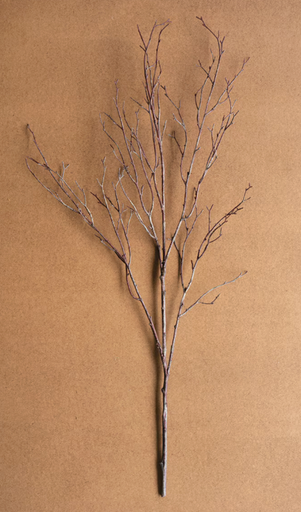 Birch Branch Stem 38"
