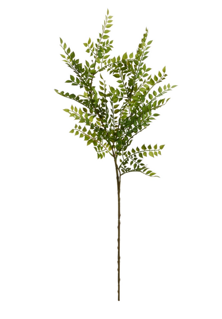 36.5" Green Ruscus Spray