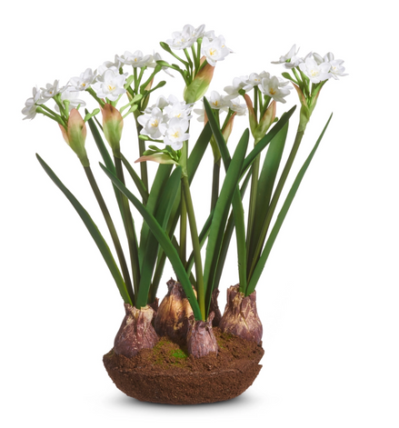 15" Narcissus Drop In