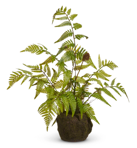 20" Fern Moss Drop In