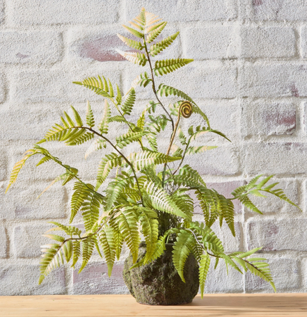 20" Fern Moss Drop In