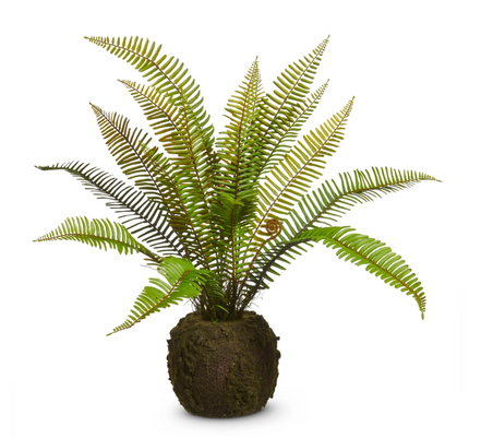 26" Fern Moss Drop In