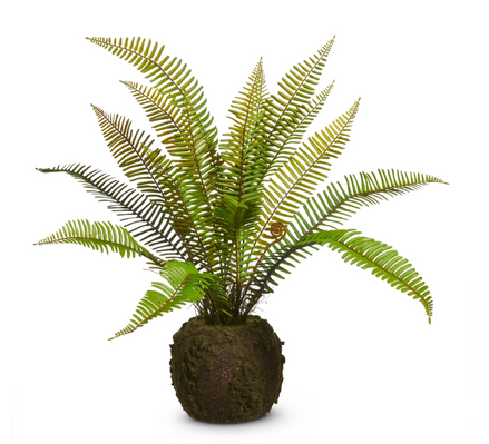 26" Fern Moss Drop In