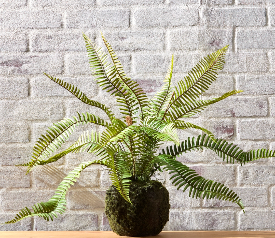 26" Fern Moss Drop In