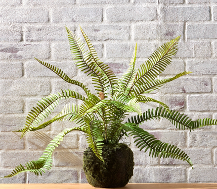26" Fern Moss Drop In