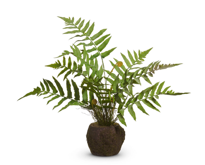 18" Fern Moss Drop In