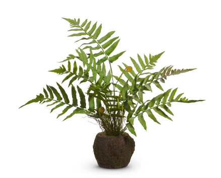 18" Fern Moss Drop In