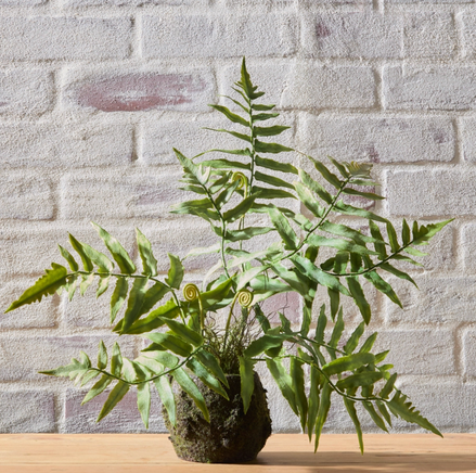 18" Fern Moss Drop In