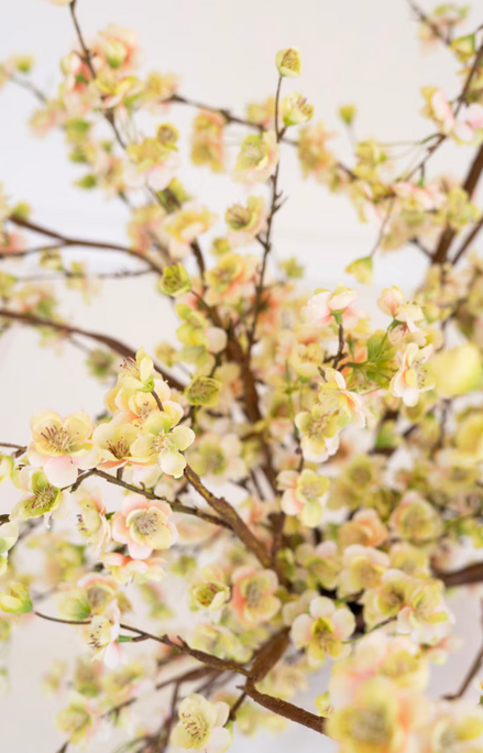 Baby Yellow Blossom Stem 51"