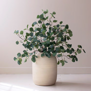 Tall Botanical Stem