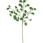 Tall Botanical Stem