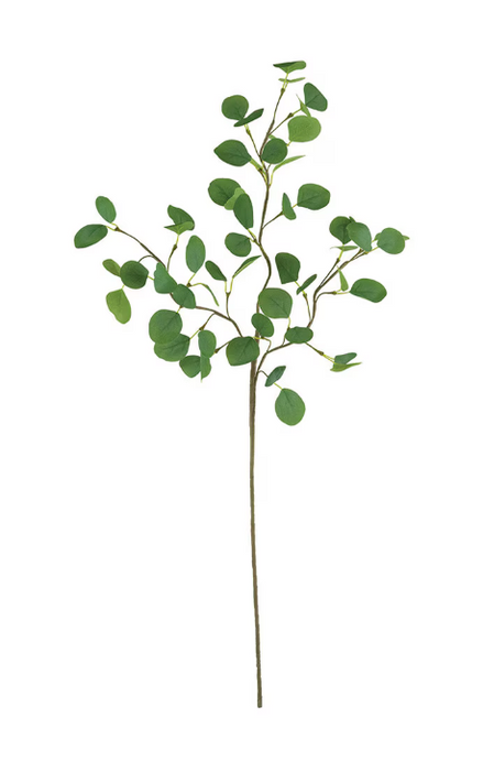 Tall Botanical Stem