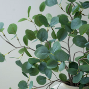 Tall Botanical Stem