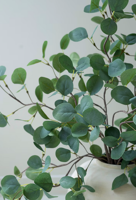 Tall Botanical Stem