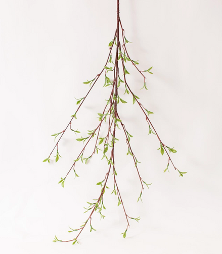 Willow Buds Branch