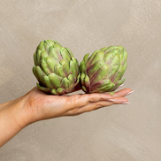 Green & Burgundy Artificial Artichoke